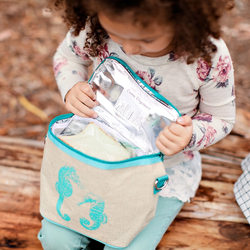 Medpac Insulated Bag For Medicine Small Cooler Bag Small Medpac